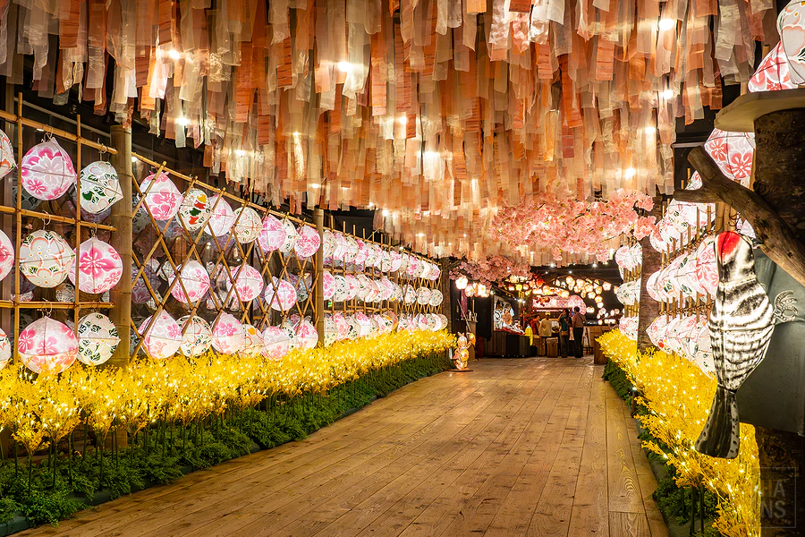 青森屋 by 星野集團