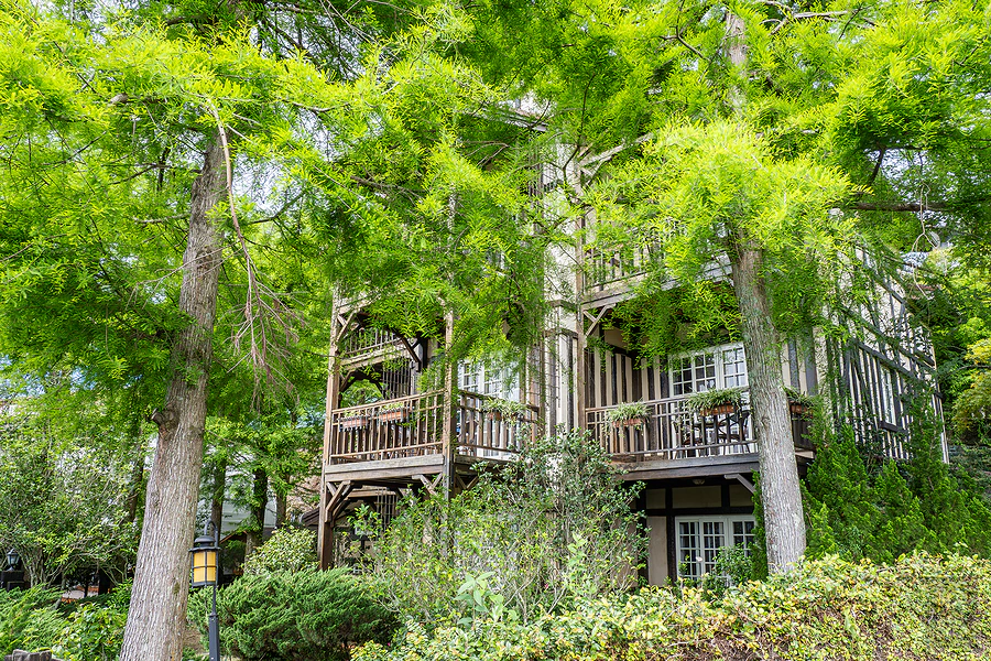 南投清境 見晴花園渡假山莊