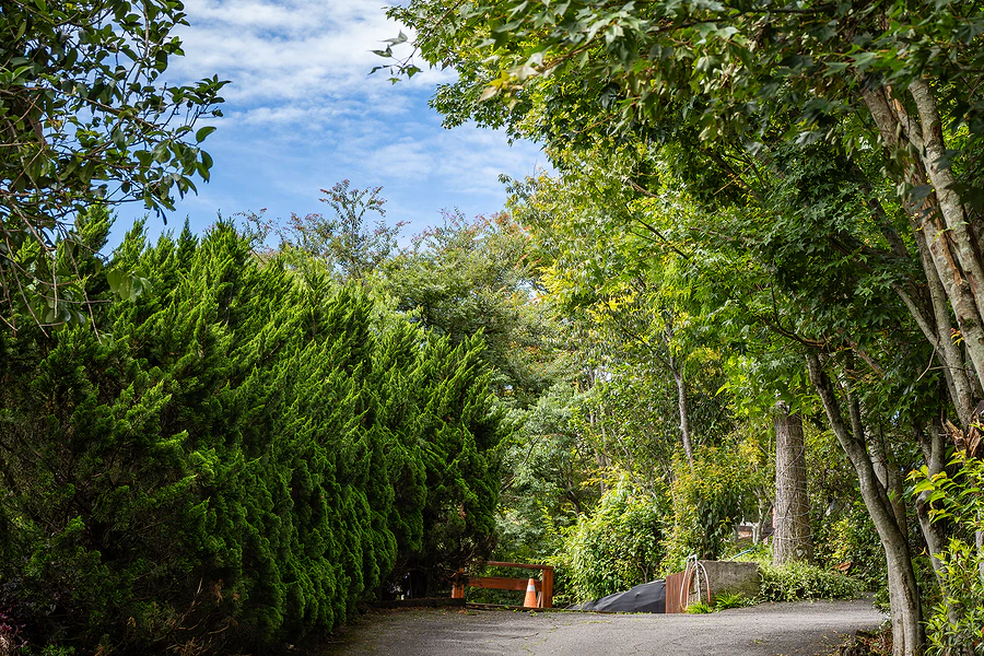 南投清境 見晴花園渡假山莊