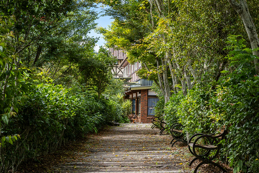 南投清境 見晴花園渡假山莊