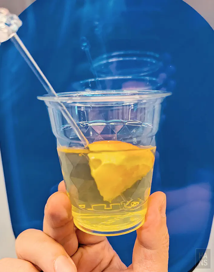 星宇航空 starlux 搭乘體驗