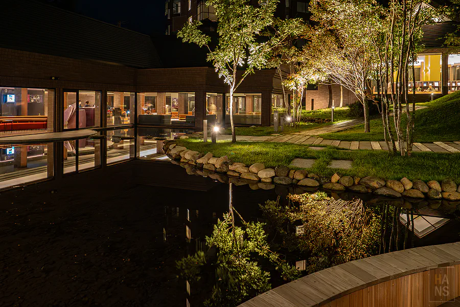 從Books & Cafe的落地窗向外看的北海道針葉林景觀