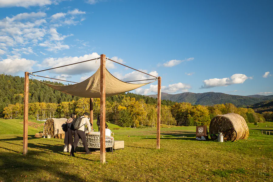 精緻的農場下午茶鹹點與三明治
