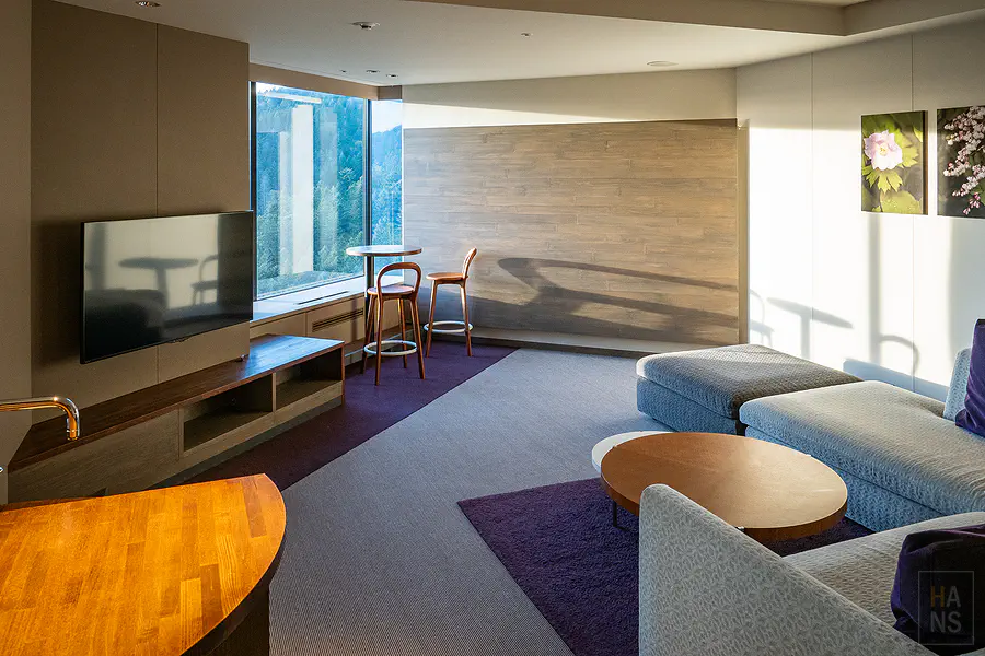 RISONARE設計套房更具現代感的室內裝潢與客廳