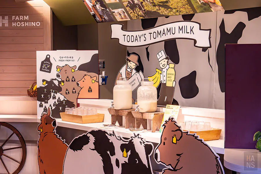 從森林餐廳Nininupuri的落地窗看出去的森林夜景