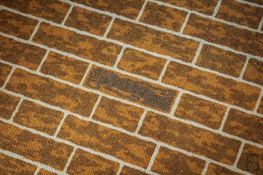 星野OMO5函館︱Deluxe Room 地毯上的小烏賊