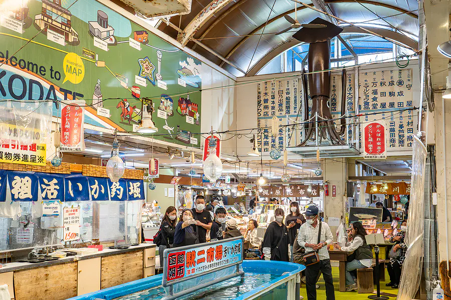 函館朝市 釣烏賊體驗