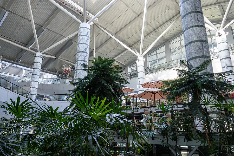 花蓮機場大廳內部的挑高設計與綠色植物