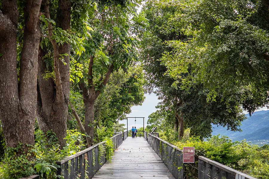原生應用植物園的空中木棧道
