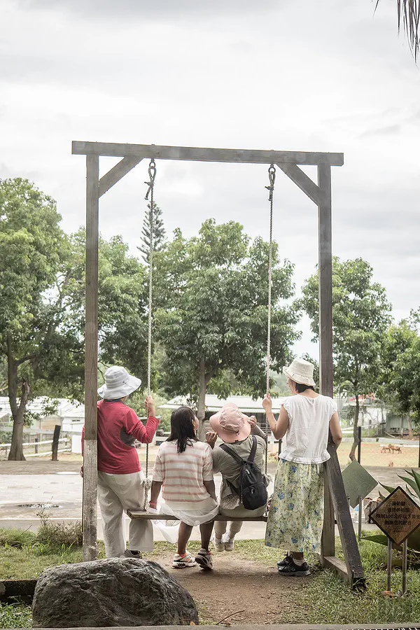遊客在原生應用植物園的牧場區盪鞦韆