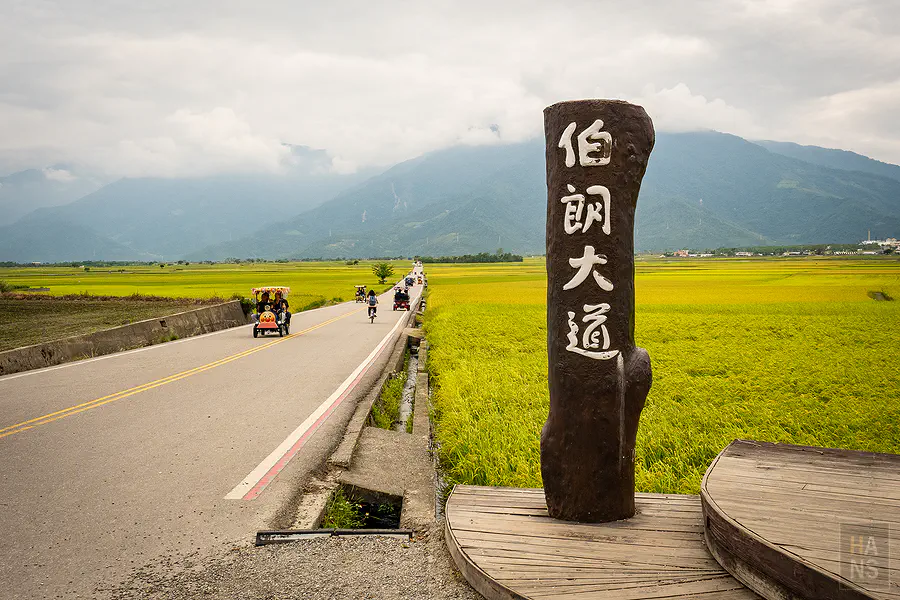 台東池上伯朗大道