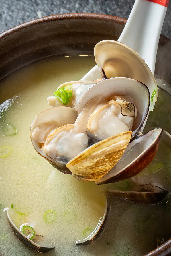 肥美飽滿的蛤蠣特寫