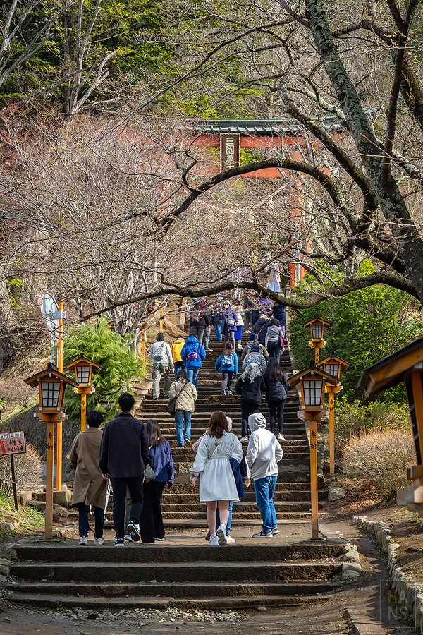 新倉山淺間公園階梯