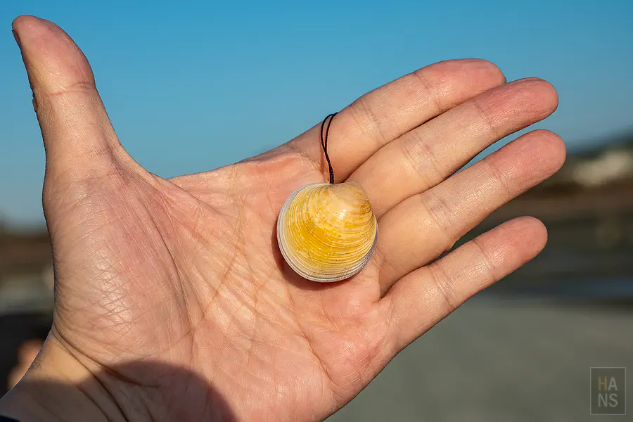 導覽老師親手製作的蛤蜊殼創意小吊飾