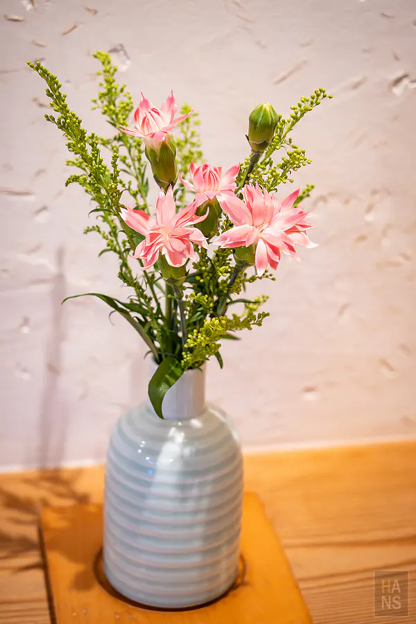 客房內點綴空間的優雅粉色花卉盆栽