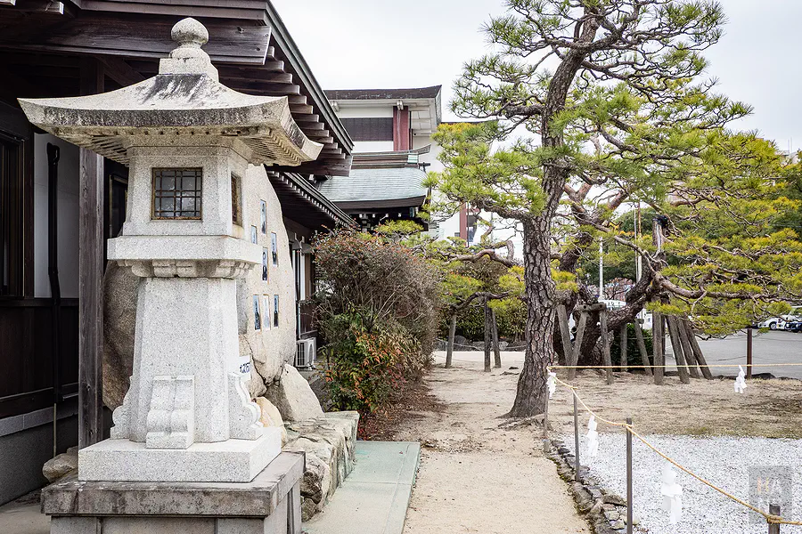 佐嘉神社七賢人紀念碑側寫與庭院松樹