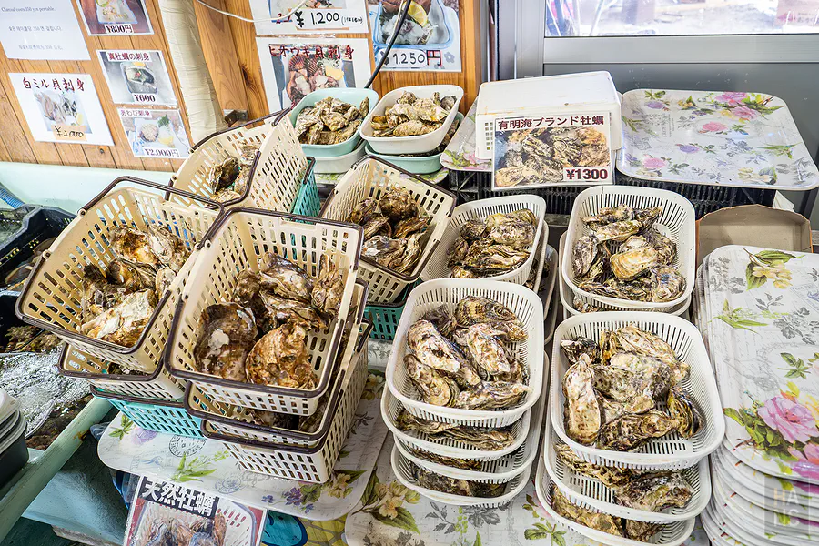 海道丸挑選區一籃一籃新鮮的有明海天然牡蠣
