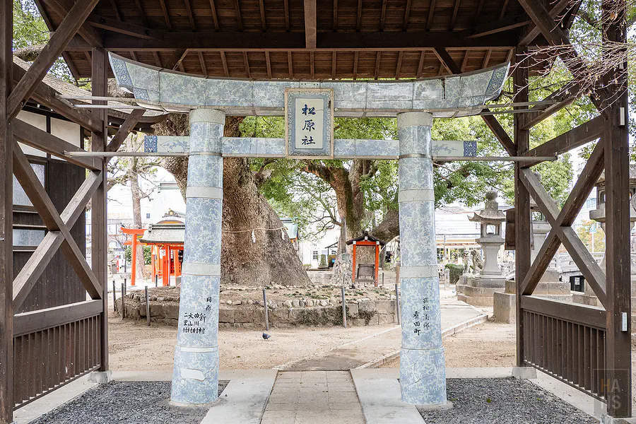 【佐賀景點】佐嘉神社散策：驚見全日本罕見的「青花瓷鳥居」！陶瓷控必訪，獨佔無人干擾的日式絕美風景