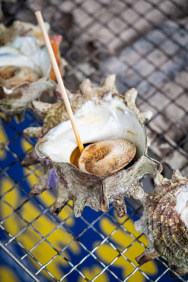 炭火上冒著熱氣與鮮美湯汁的佐賀現烤蠑螺特寫