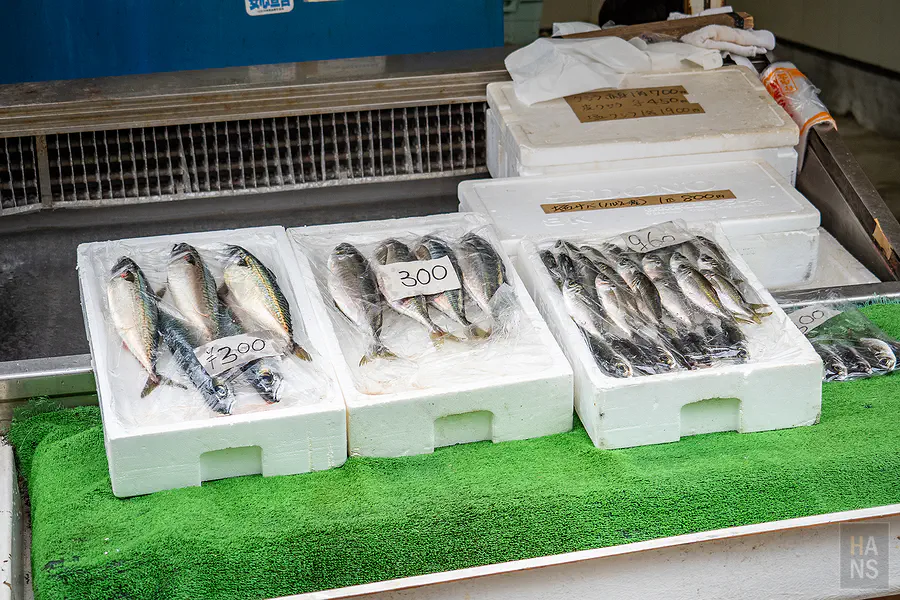 呼子朝市攤位上新鮮捕撈的在地魚獲保麗龍箱