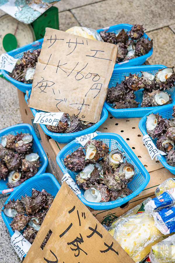 呼子朝市攤位上新鮮肥美的活體鮑魚與帶殼蠑螺