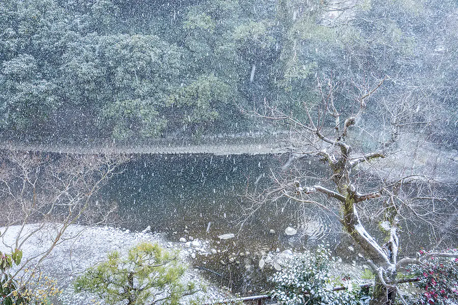 大村屋清晨窗外的浪漫雪景