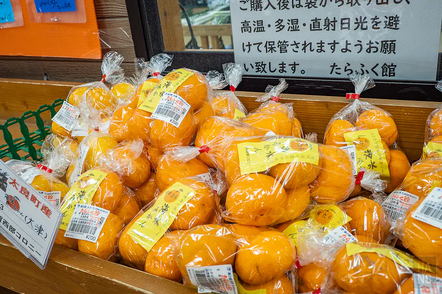 佐賀當地盛產的新鮮蜜柑