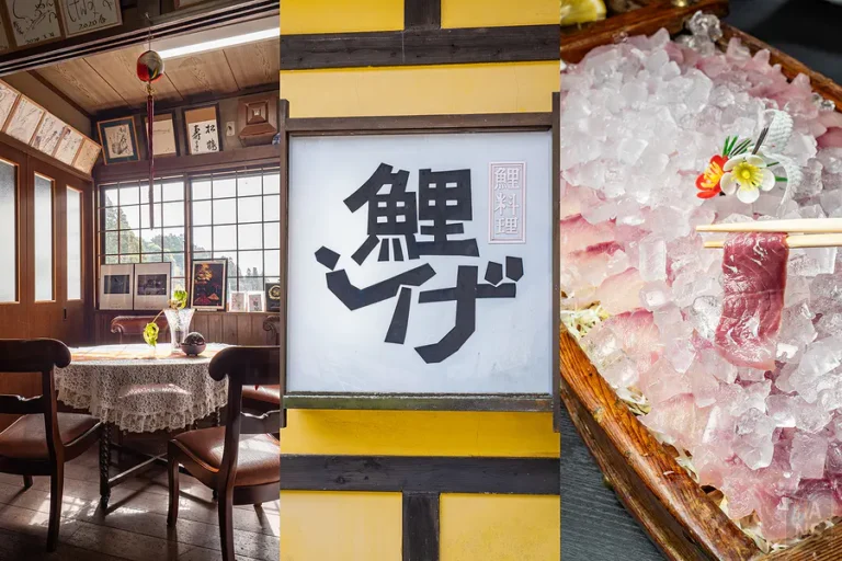 佐賀小城美食｜鯉茂(鯉しげ)超狂鯉魚生魚片船只要4620日圓！名水養殖無土味