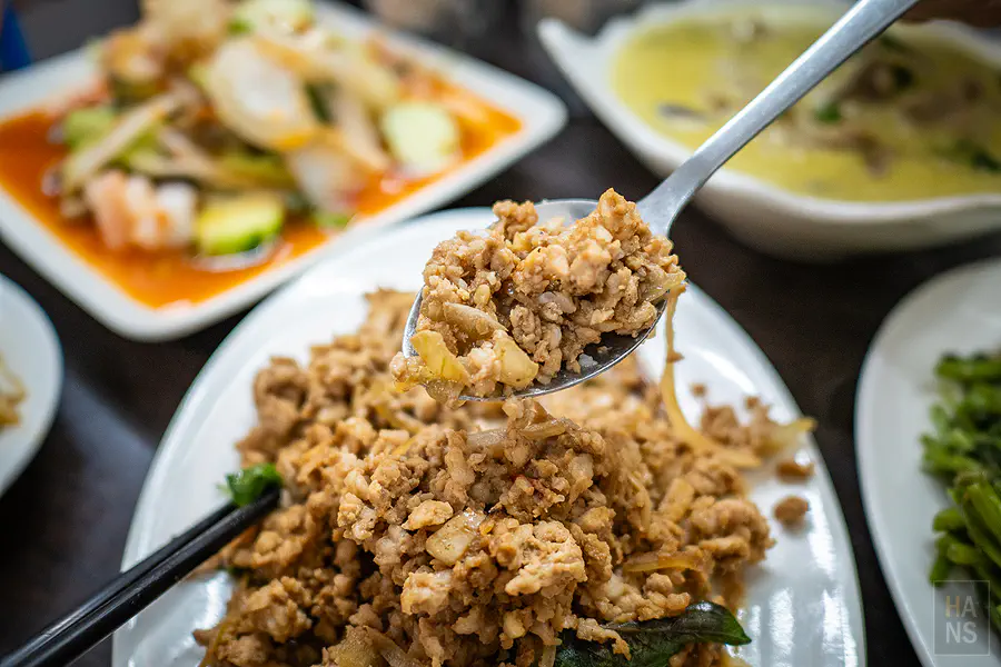 夏天小館泰式料理打拋豬肉與洋蔥九層塔拌炒特寫