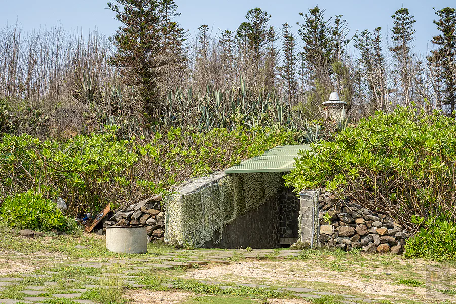 龍門閉鎖陣地坑道入口處與周圍茂盛的防禦植物