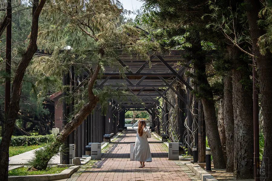 林投公園內綠意盎然的木棧步道與防風林