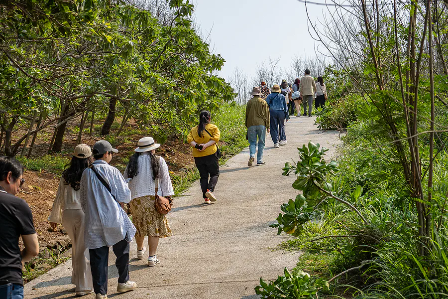 遊客漫步於西嶼東臺軍事史蹟園區外圍綠意盎然且寬敞的海景散步步道