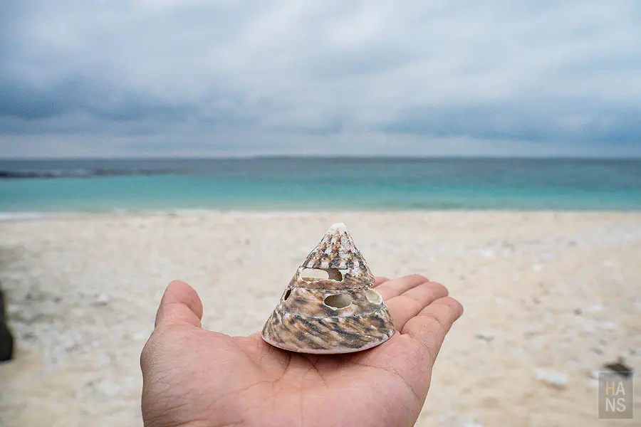 離開前在步道上回望目斗嶼燈塔在午後陽光下的靜謐剪影