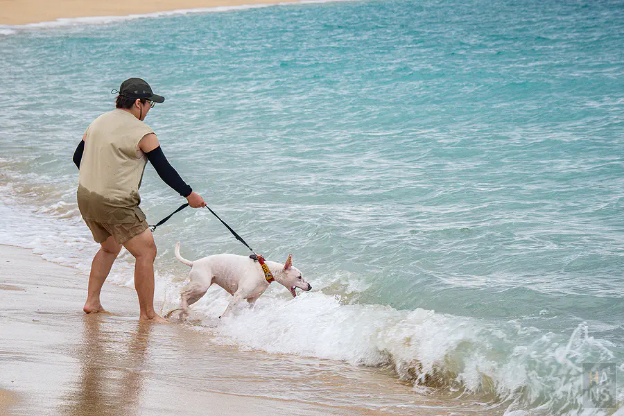 近看吉貝沙尾岸邊晶瑩剔透的海水與潔白無瑕的細沙交會