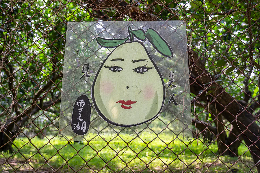 峨眉湖畔推廣在地特產的柚見美人招牌