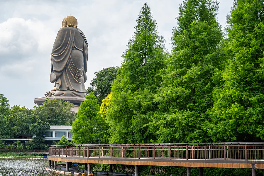彌勒佛像背面與湖畔漸層美麗的落羽松