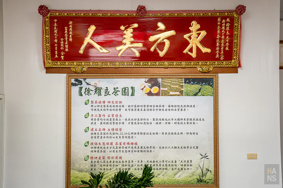 將茶葉置入鑑定杯中進行沖泡前的聞香