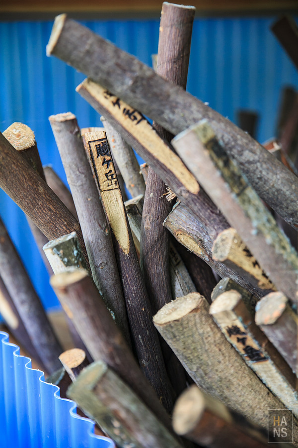 滋賀縣長濱市賤岳纜車