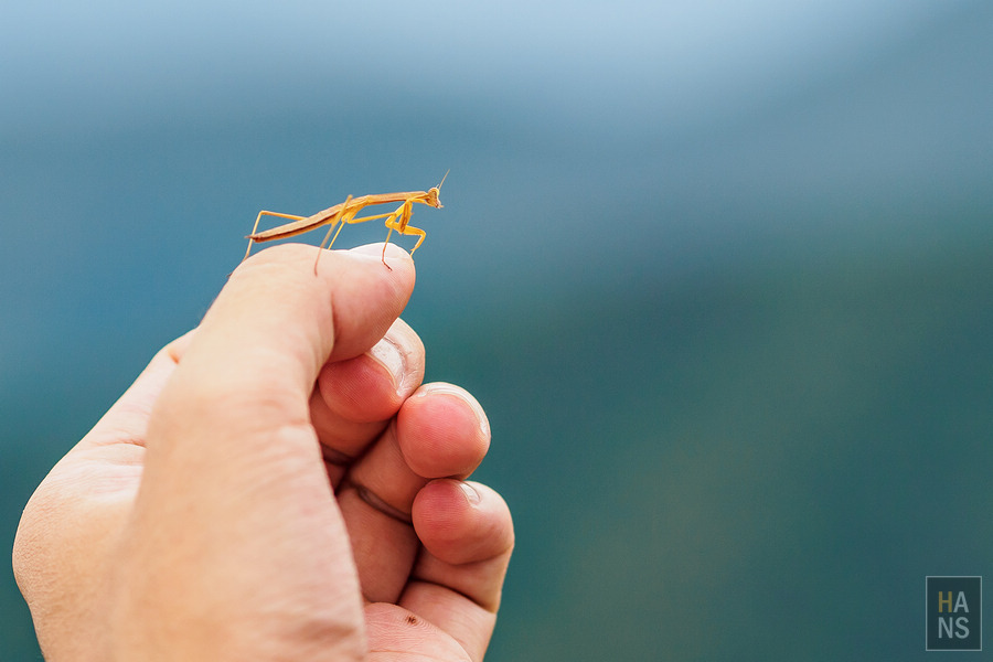 滋賀縣長濱市賤岳纜車