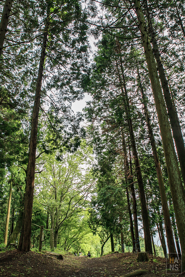 滋賀縣長濱市賤岳纜車