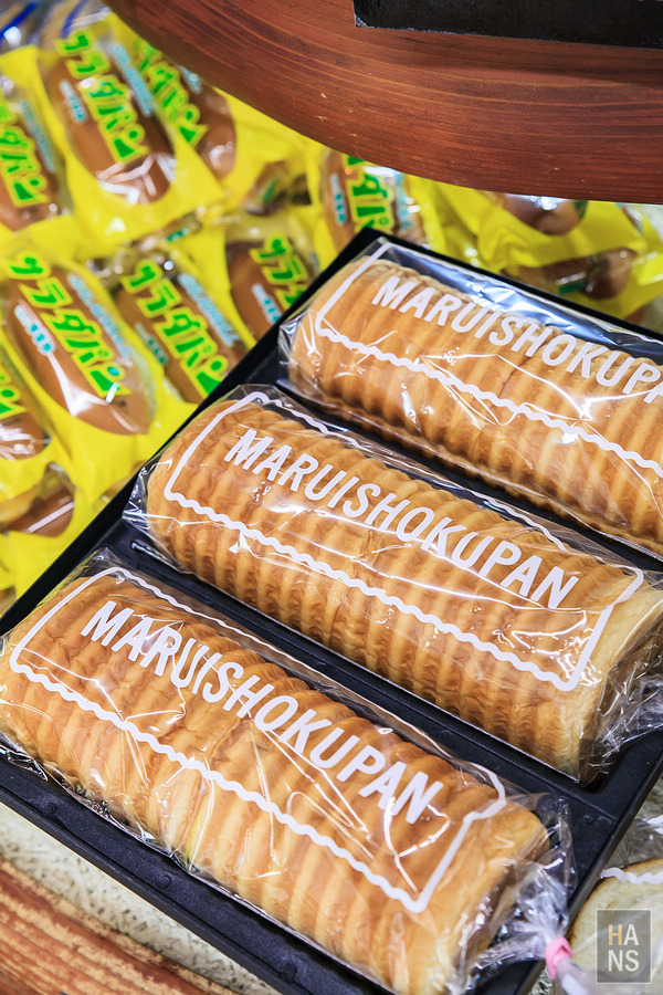 滋賀縣長濱市賤岳纜車