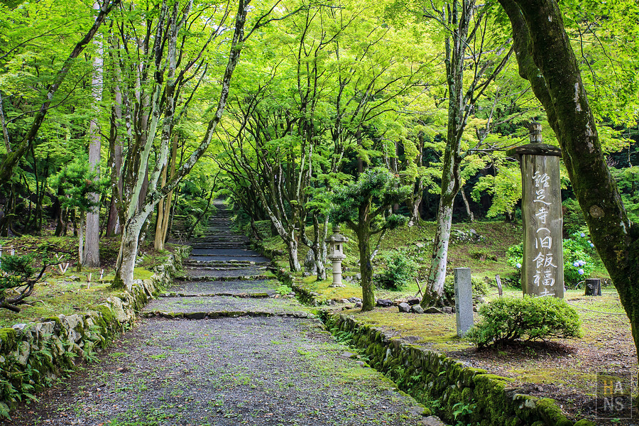 滋賀縣長濱市雞足寺
