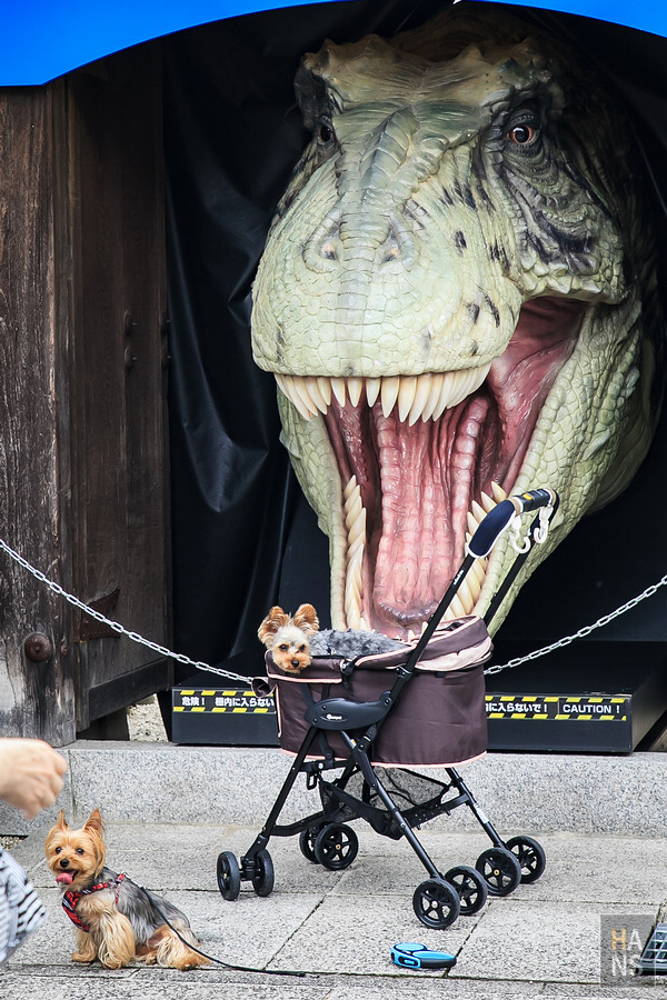 滋賀長濱黒壁廣場