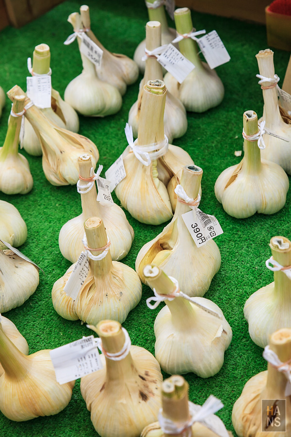 滋賀長濱黒壁廣場