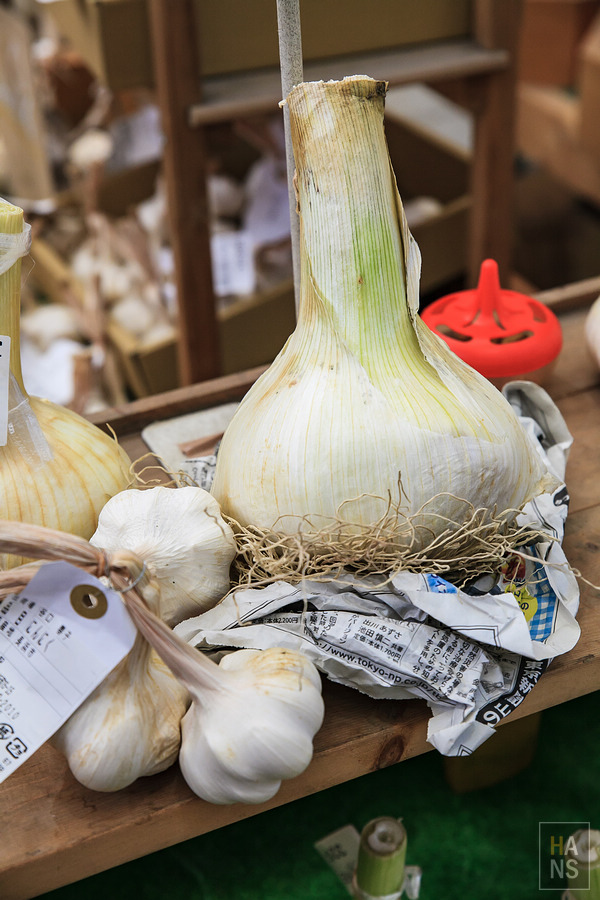 滋賀長濱黒壁廣場