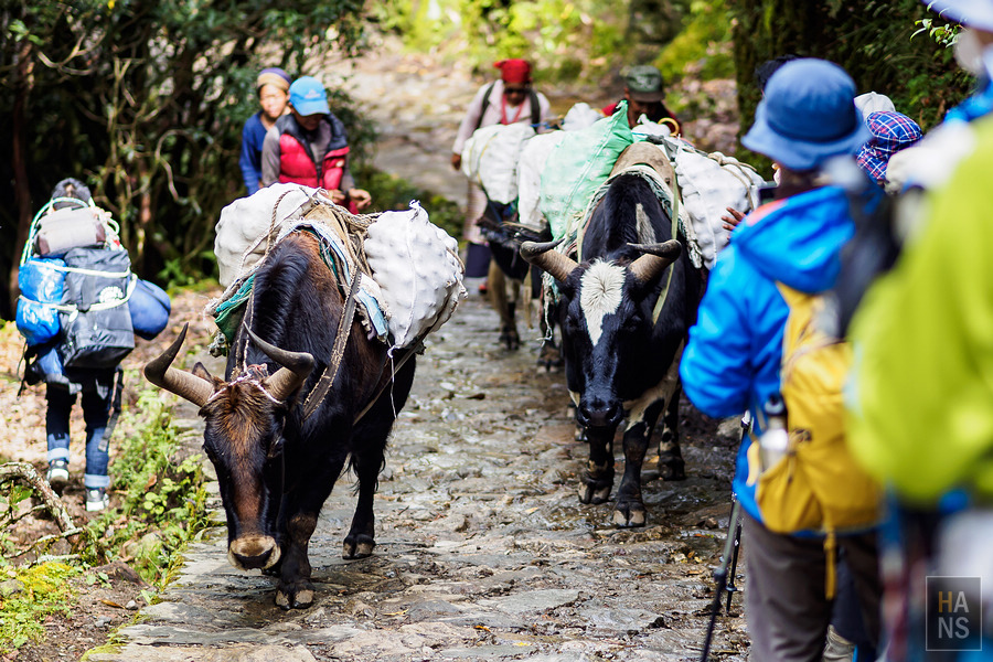 EBC珠峰基地營健行全紀錄懶人包