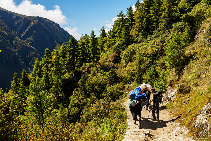 EBC聖母峰基地營湯坡崎Tengboche