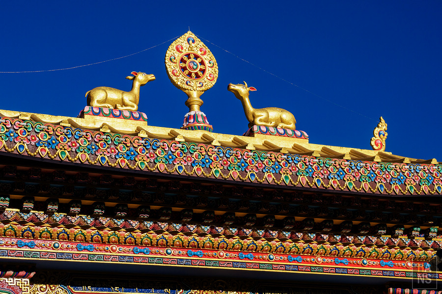 EBC珠峰基地營丁伯崎Dingboche