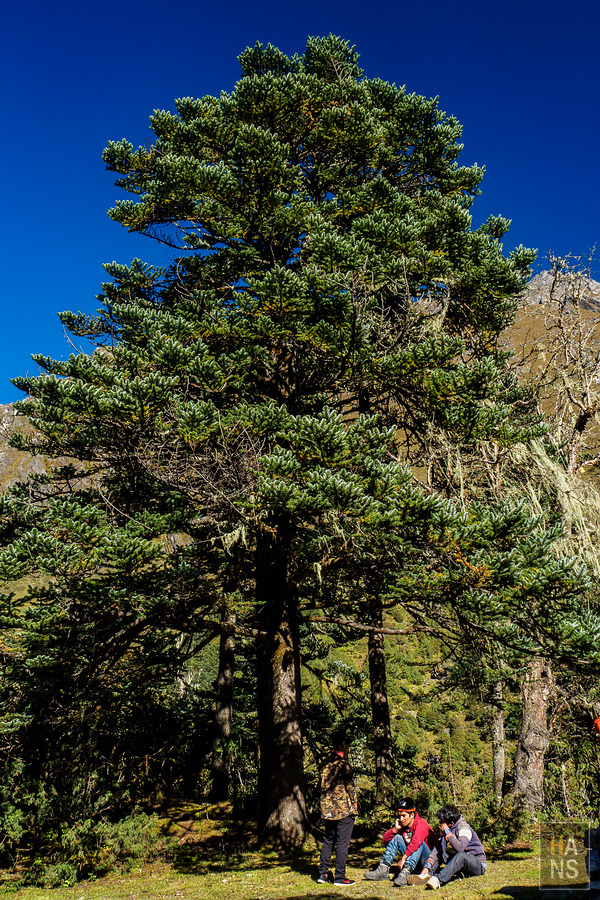 EBC珠峰基地營丁伯崎Dingboche