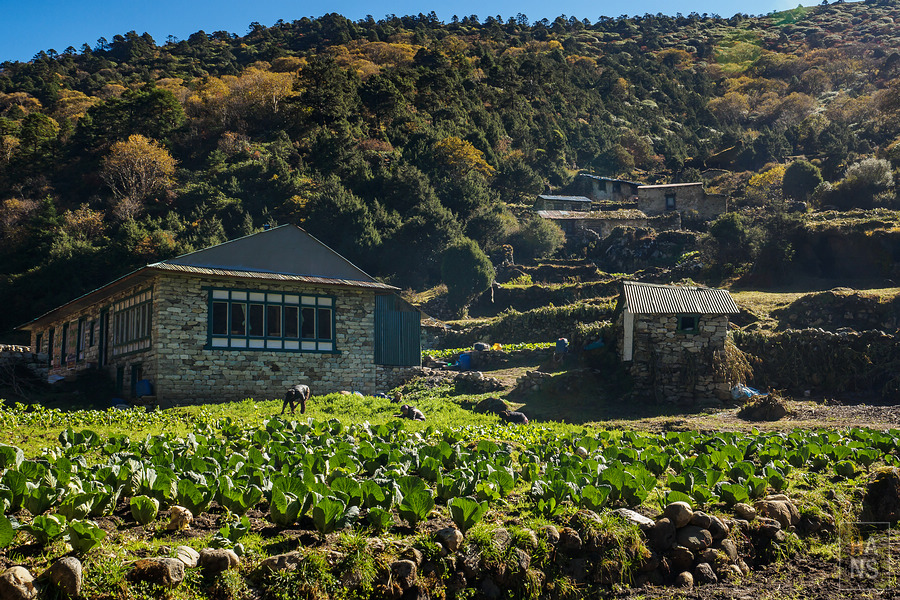 EBC珠峰基地營丁伯崎Dingboche